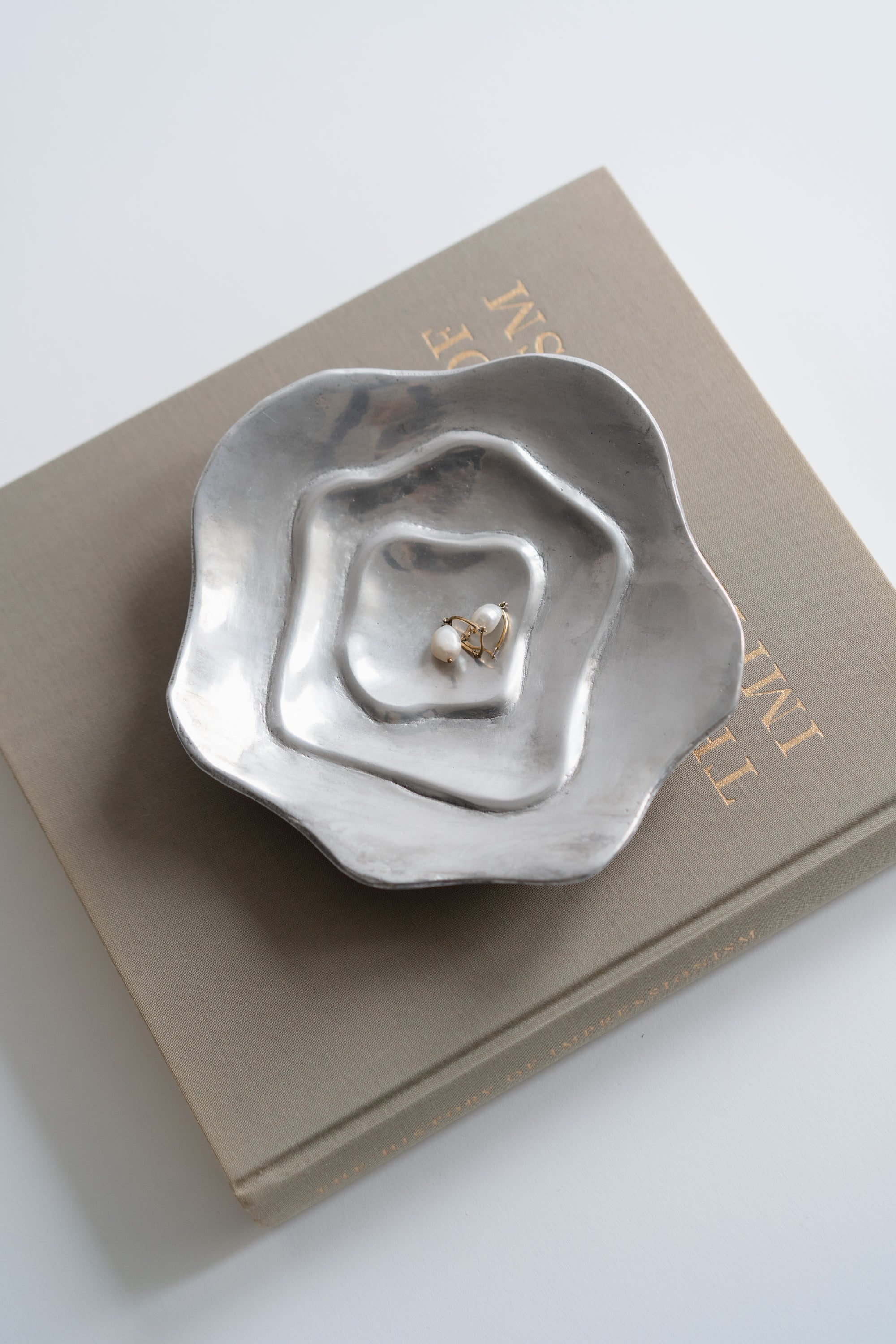 Biomorphic Aluminum Catchall