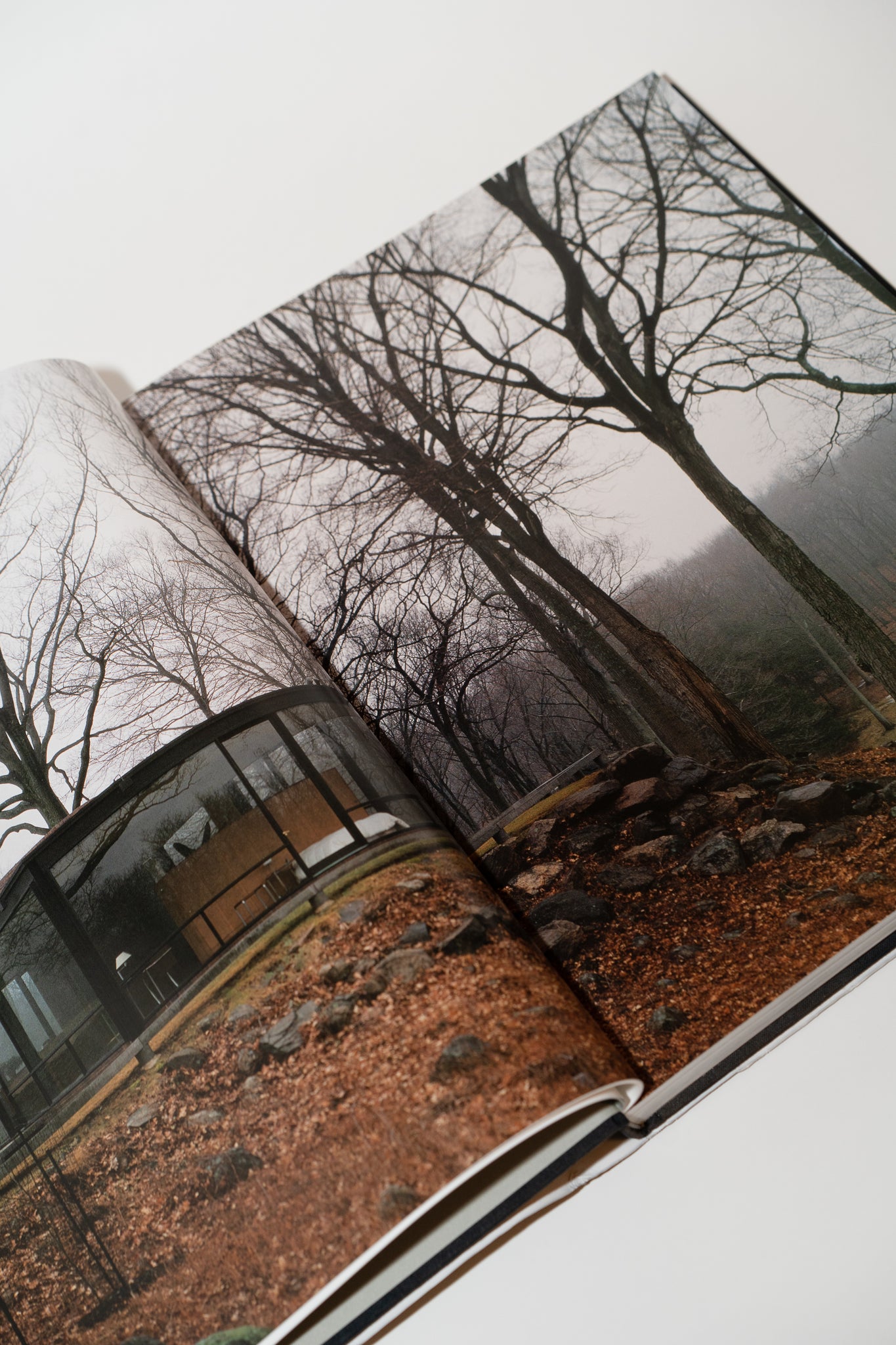 The Architecture of Philip Johnson (2002)