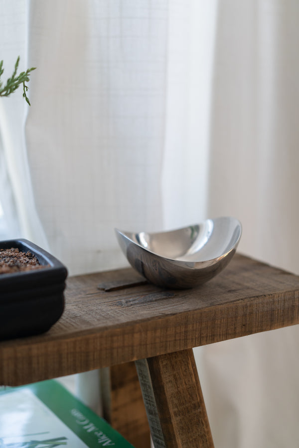 Biomorphic Aluminum Bowl