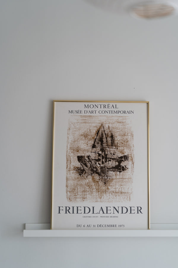 1973 Johnny Friedlander Framed Exhibition Poster