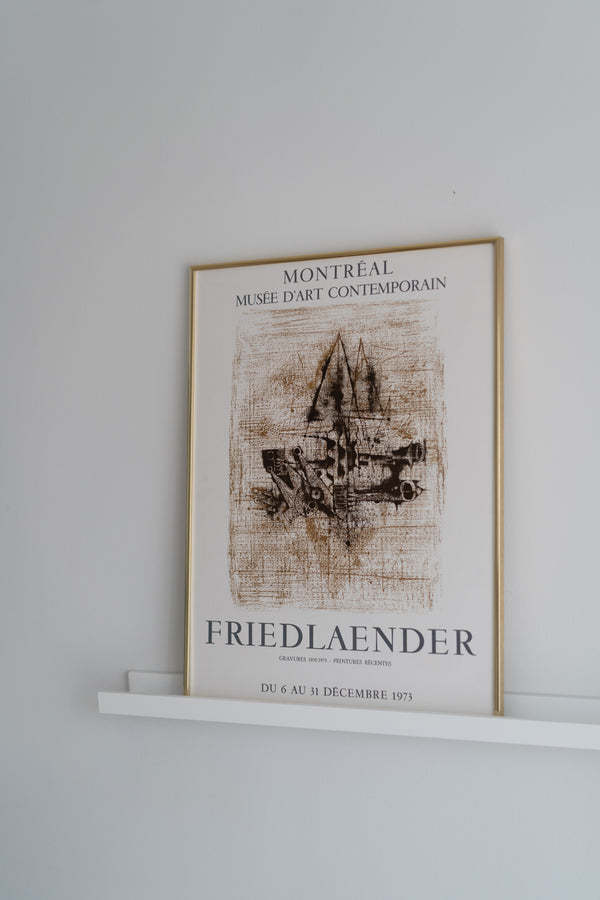 1973 Johnny Friedlander Framed Exhibition Poster