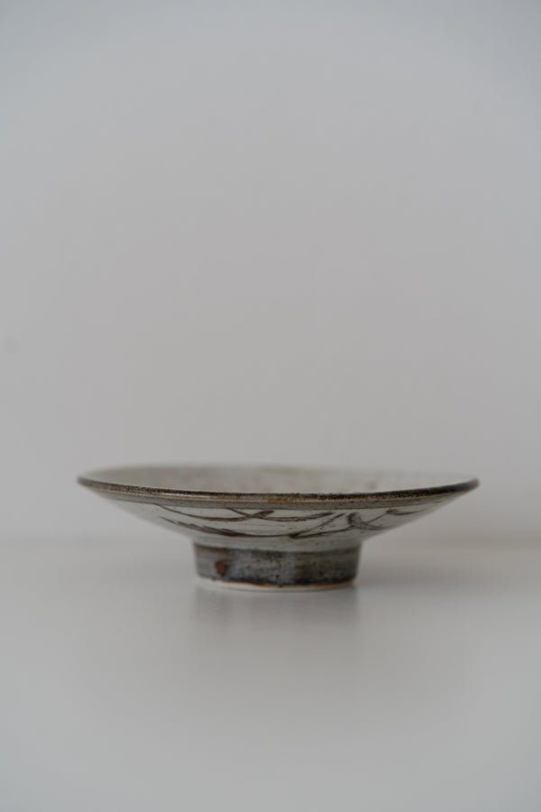 Speckled Pottery Plates