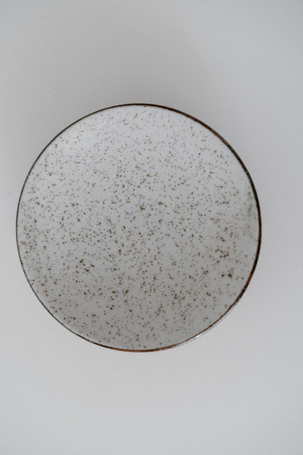 Speckled Pottery Plates