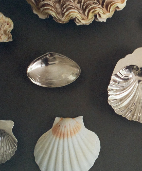 Ashe Leandro: Architecture + Interiors