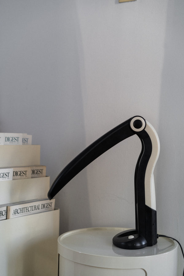 Vintage Toucan Desk Lamp